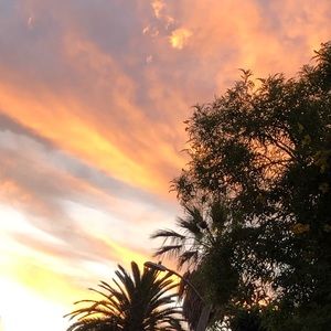 Meet your Posher, Raymee